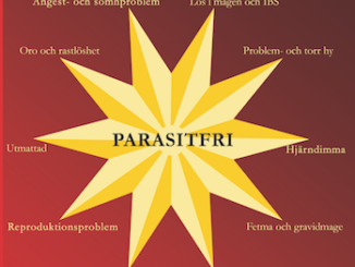 parasitfri, parasit, parasitinfektion, parasitmedicin, Lena Holfve